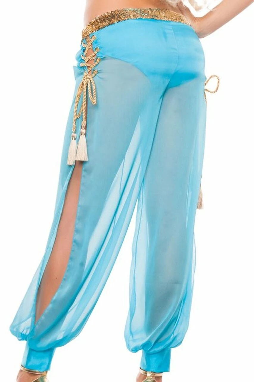 Starline Costume Sexy Arabian Nights Costume - Image 3